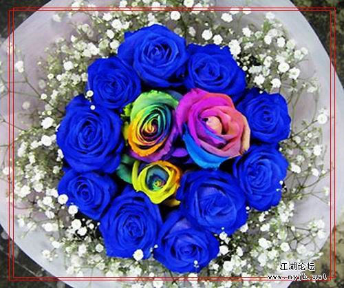 p_large_MJfO_3eae0002e51a2d0c.jpg
