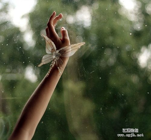 就像蝴蝶飞不过沧海 没有谁忍心责怪  《蝴蝶》.jpg