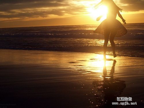 原谅我不再送花，伤口应要结疤 花瓣铺满心里坟场才可怕，如若你非我不嫁，彼此终必火化.jpg