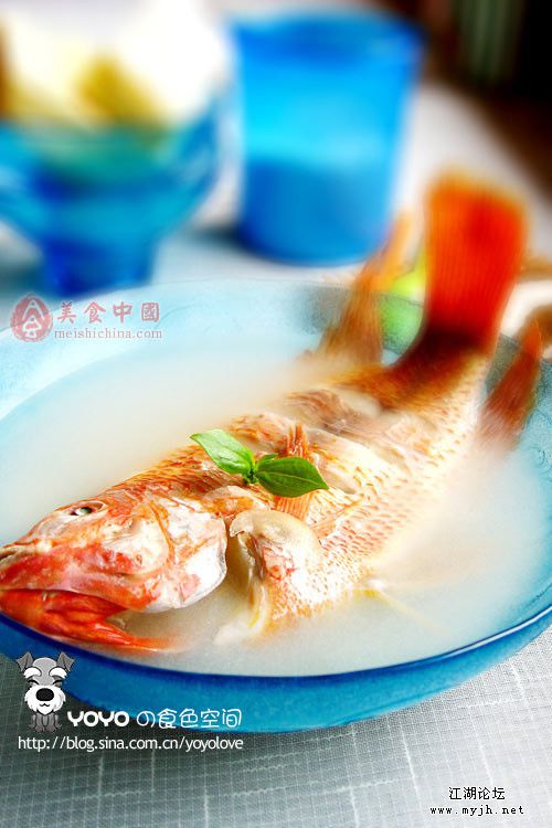 佳吉鱼汤.jpg