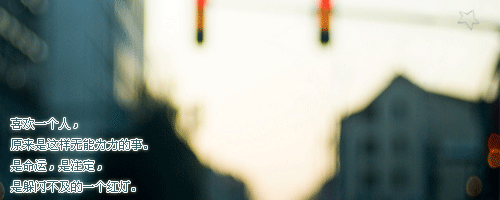 4.gif