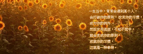 6.gif
