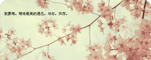 8.gif
