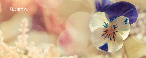 12.gif