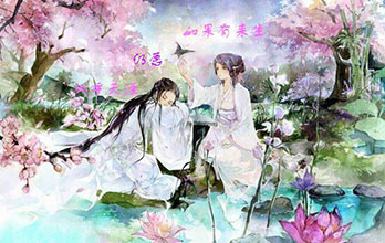 来生~寻你.jpg