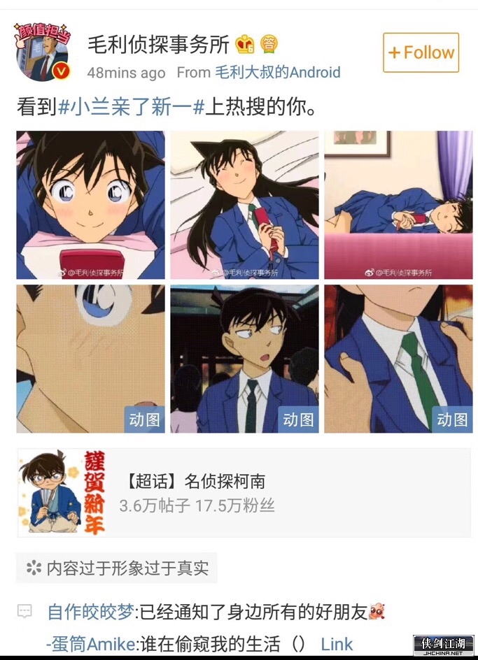 新兰.jpg