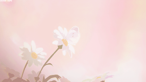 所遇皆美好.gif