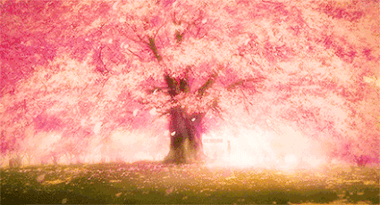 花落霏雨.gif