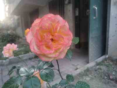 2c99cfad929ba01a4a6ff955bc99d384.jpg