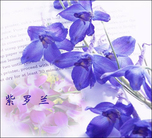 门派花副本.jpg