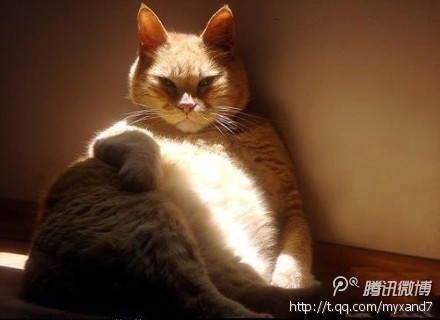 未命名2.jpg