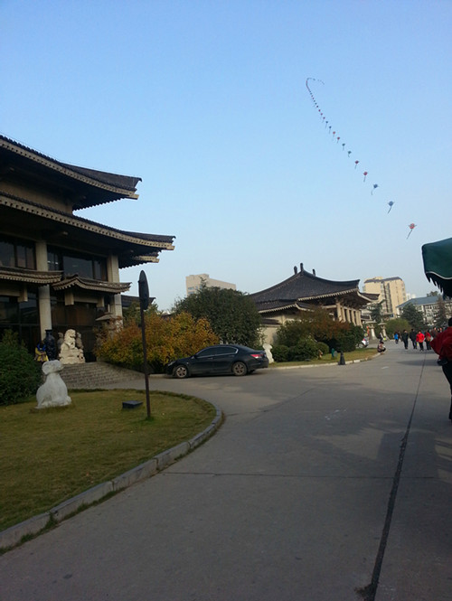 20131114_160047_副本.jpg