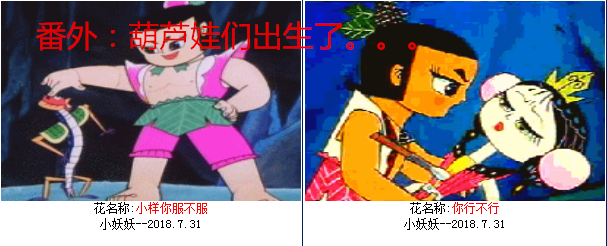 06.png