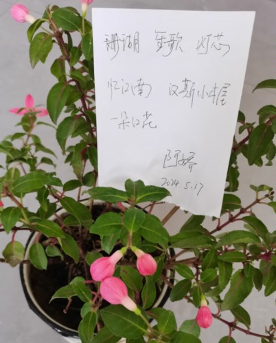 Image_1715930915012.jpg
